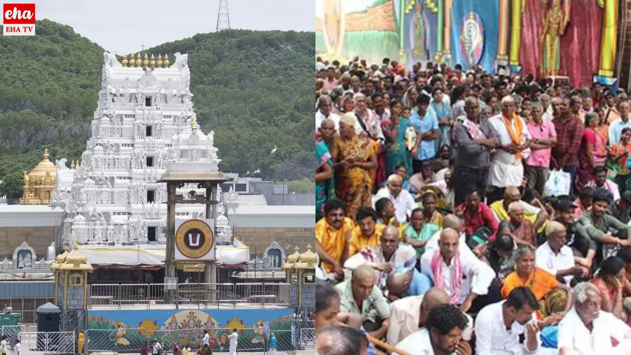 Tirumala Devotees Rush : తిరుమలలో పెరిగిన భక్తుల రద్దీ..