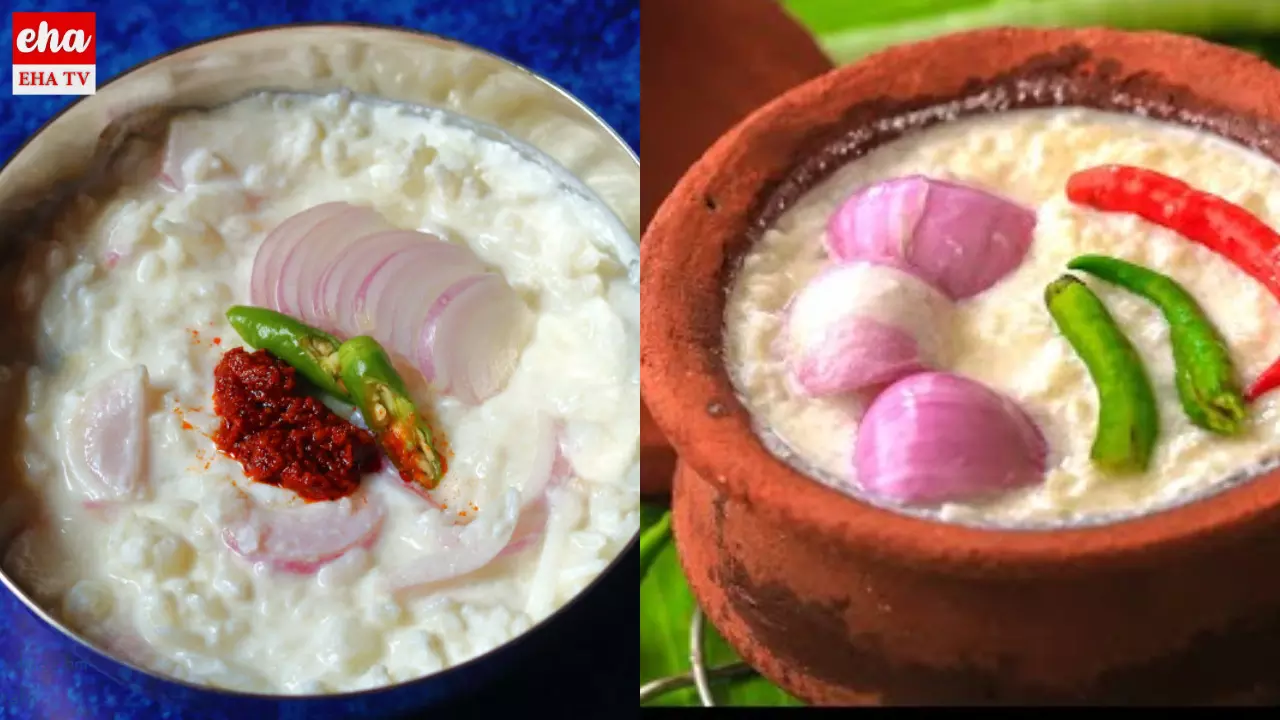 Probiotic Fermented Rice : చద్దన్నంలో ఇన్ని ప్రయోజనాలున్నాయా? తెలిస్తే వదిలిపెట్టరు..!