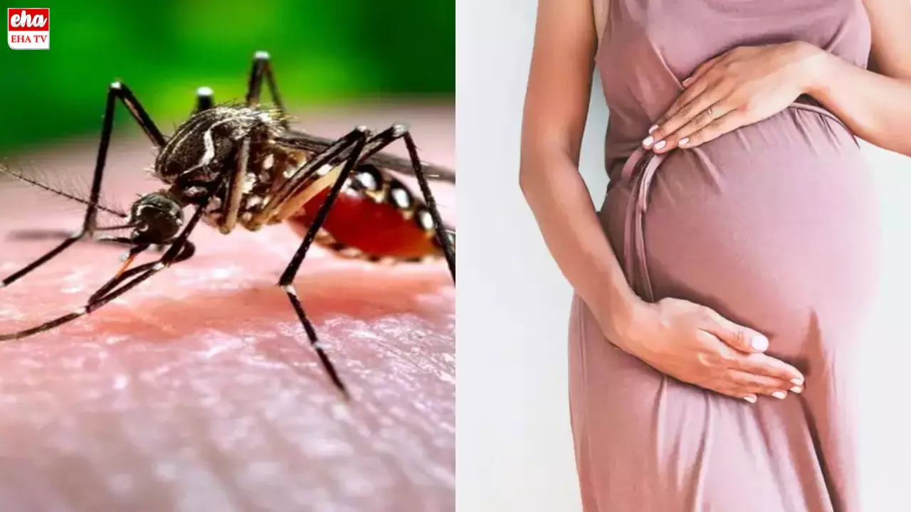 Zika virus In Pune : పుణెలో కలకలం సృష్టిస్తోన్న జికా వైరస్‌..