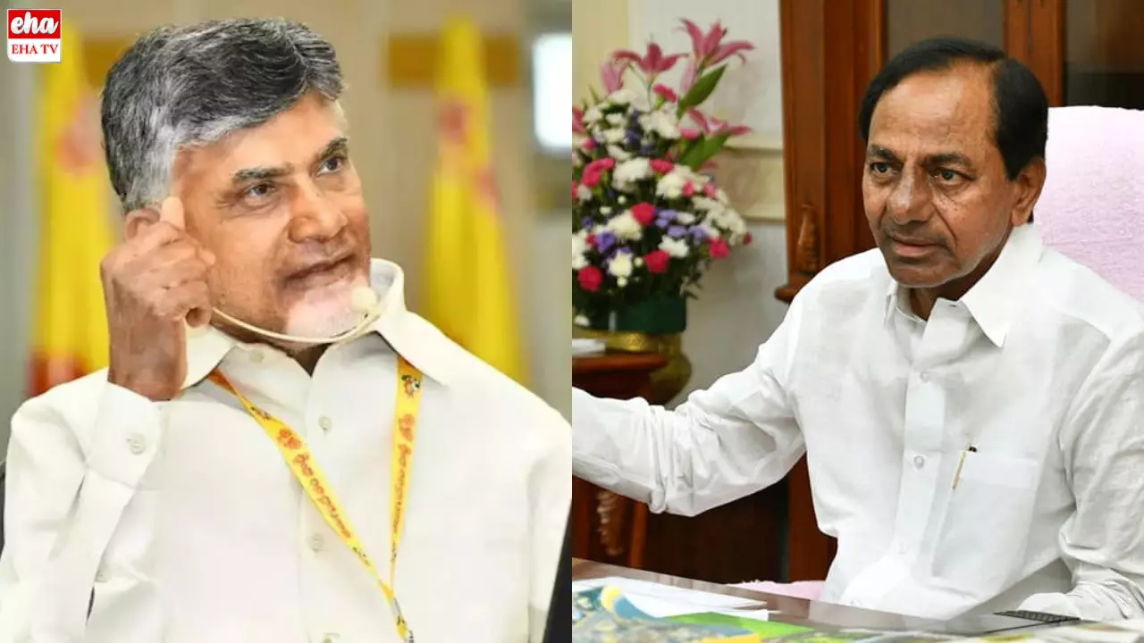 CM Chandrababu : జీహెచ్‌ఎంసీ ఎన్నికలపై చంద్రబాబు గురి?