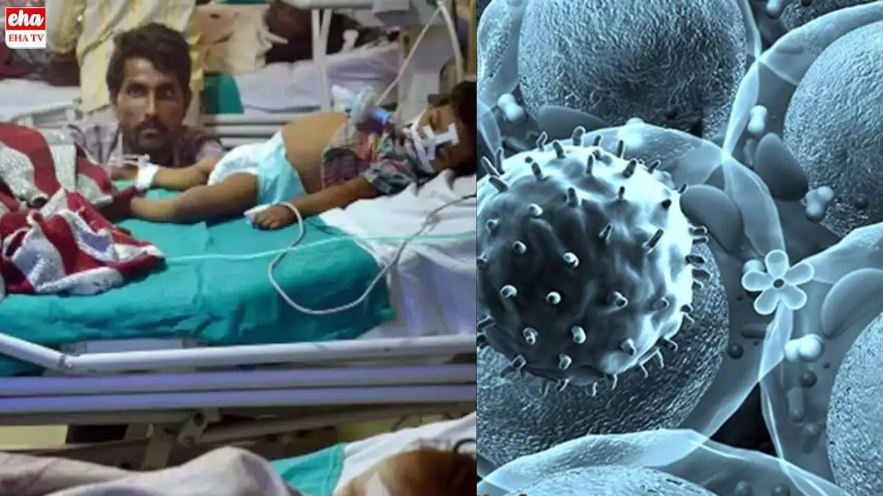 Chandipura Virus : గుజరాత్‌ను వణికిస్తున్న చాందిపురా వైరస్‌! ఆరుగురు చిన్నారులు మృతి