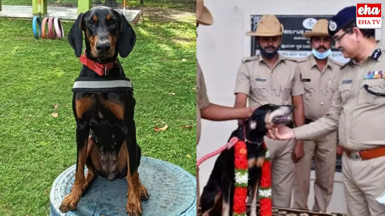 Karnataka Police Dog : వివాహేతర సంబంధం.. కానీ పోలీస్‌ డాగ్‌ ఏం చేసిందంటే..!