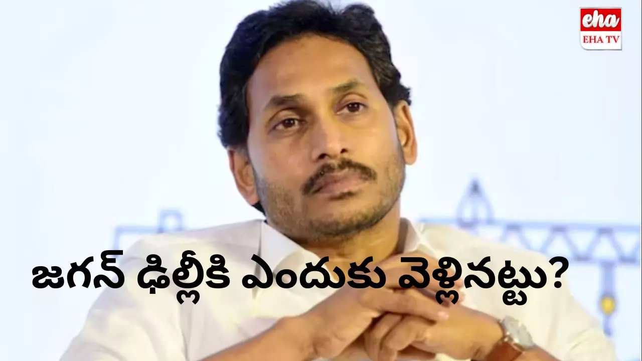 YS Jagan : జగన్‌ ఢిల్లీకి ఎందుకు వెళ్లినట్టు?