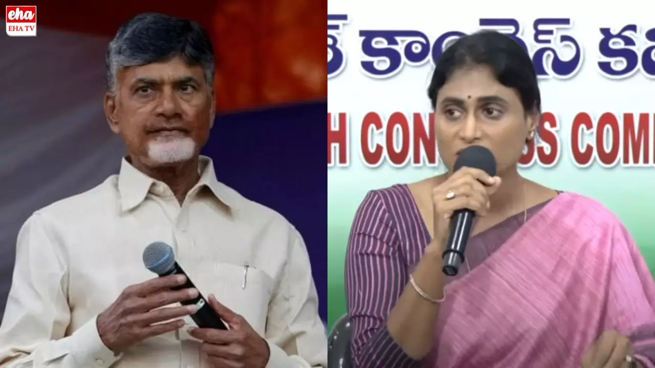 YS Sharmila : షర్మిల కాంగ్రెస్‌లోనే ఉన్నారా? టీడీపీలో ఏమైనా చేరారా?