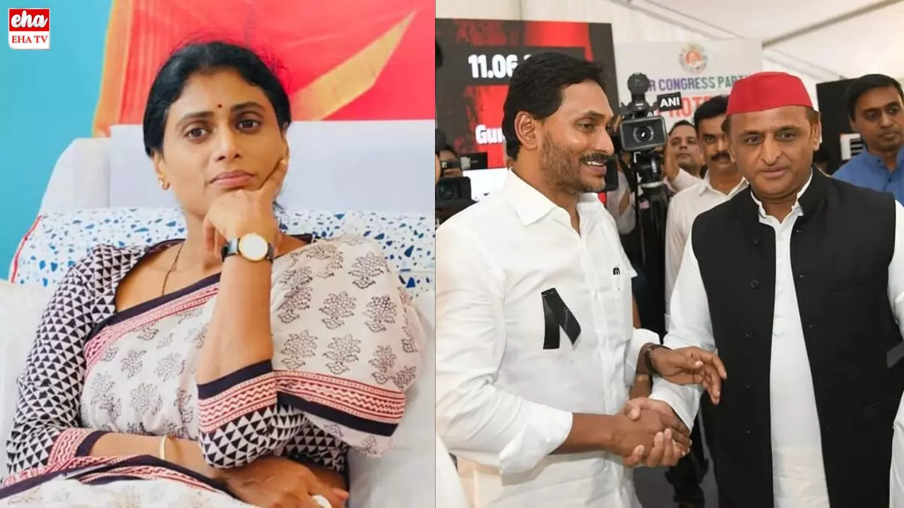 YS Jagan : షర్మిలకు చెక్‌ పెడుతున్న జగన్.. అందుకే ఇండియా కూటమికి దగ్గరయ్యారా?