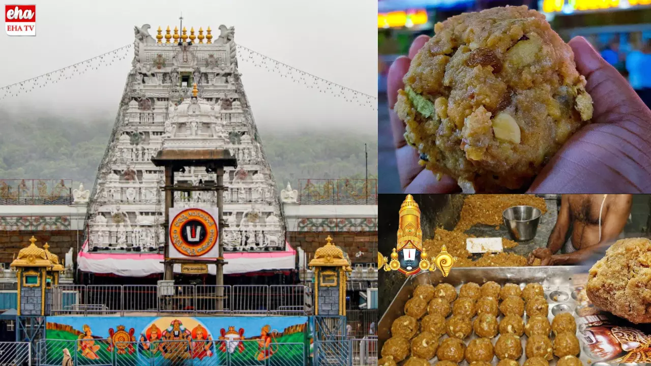 Tirumala Laddu:తిరుమలలో ఎన్ని రకాల లడ్డూలు తయారవుతాయో తెలుసా?