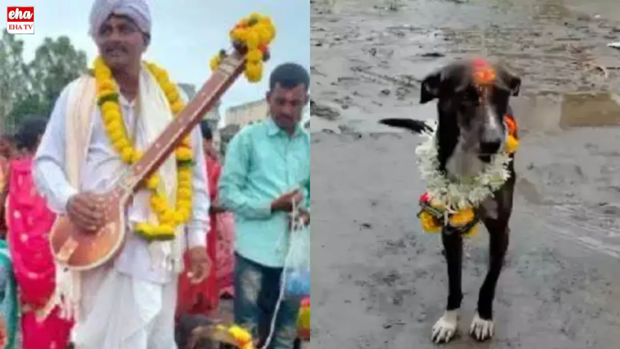 Dog Return Celebrations : తీర్థయాత్రలో తప్పిపోయిన కుక్క.. ఆశ్చర్యంగా ఇంటికి చేరింది!