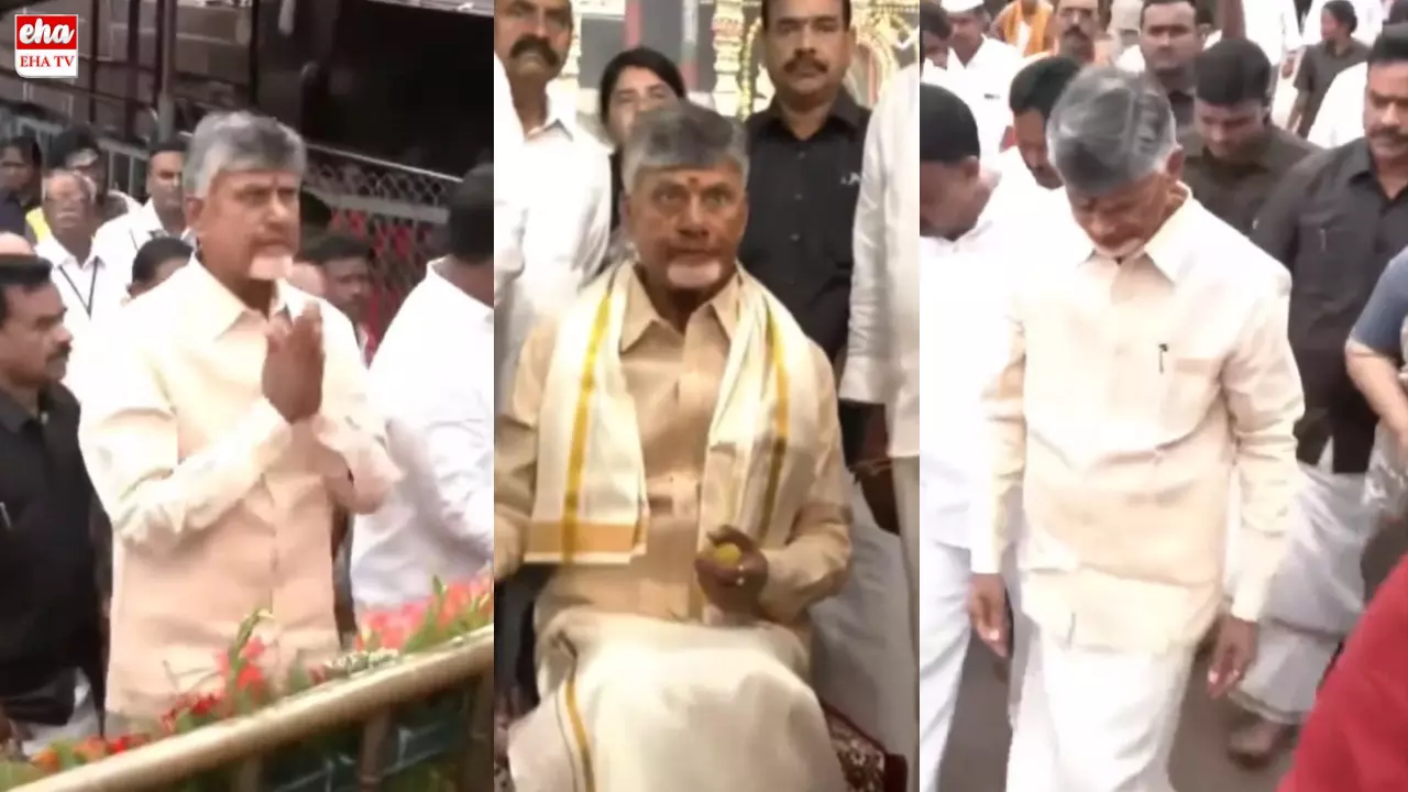 CM Chandrababu : కొత్త గెటప్ లో చంద్రబాబు