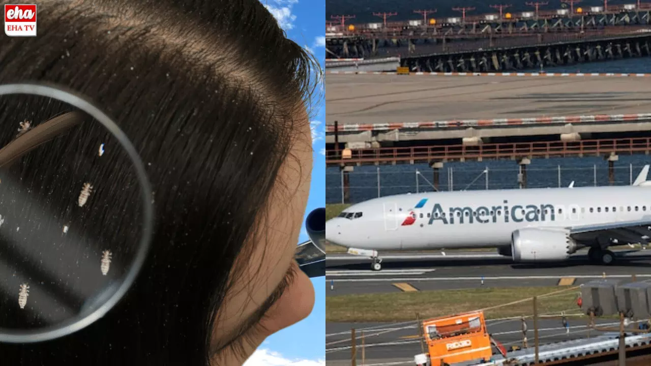 American Airlines : పేనుకు పెత్తనమివ్వకపోయినా విమానం ఆగింది!