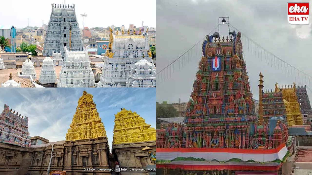 Parthasarathy Temple : ఆ కృష్ణాలయంలో మిరపకాయలు, వేరుశనగనూనె నిషేధం...ఎందుకంటే!