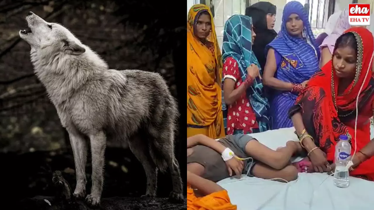 Mother Vs Warewolf : తల్లి సాహసం.. కొడుకు కోసం తోడేలుతో పోరాటం!