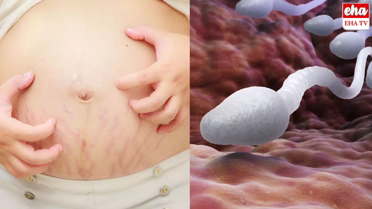 Sperms Benefits : వీర్యం గురించి ఆసక్తికర విషయాలు!