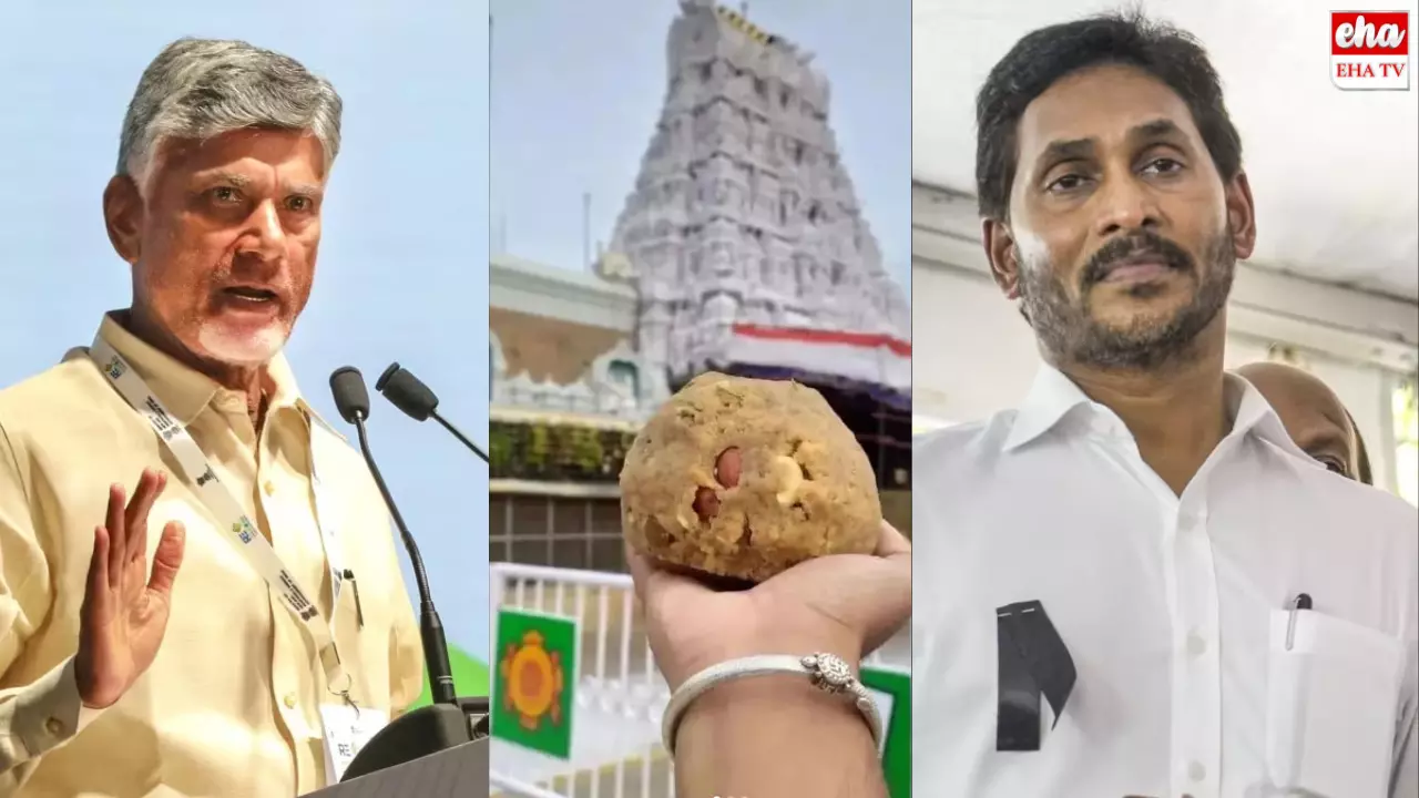 Chandrababu Naidu:చంద్రబాబుకు ఏమైంది? ఎందుకలా మాట్లాడుతున్నారు?