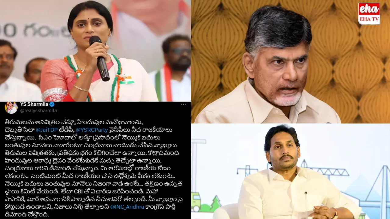 YS Sharmila:టీడీపీ, వైసీపీలు నీచ రాజకీయాలు చేస్తున్నాయి