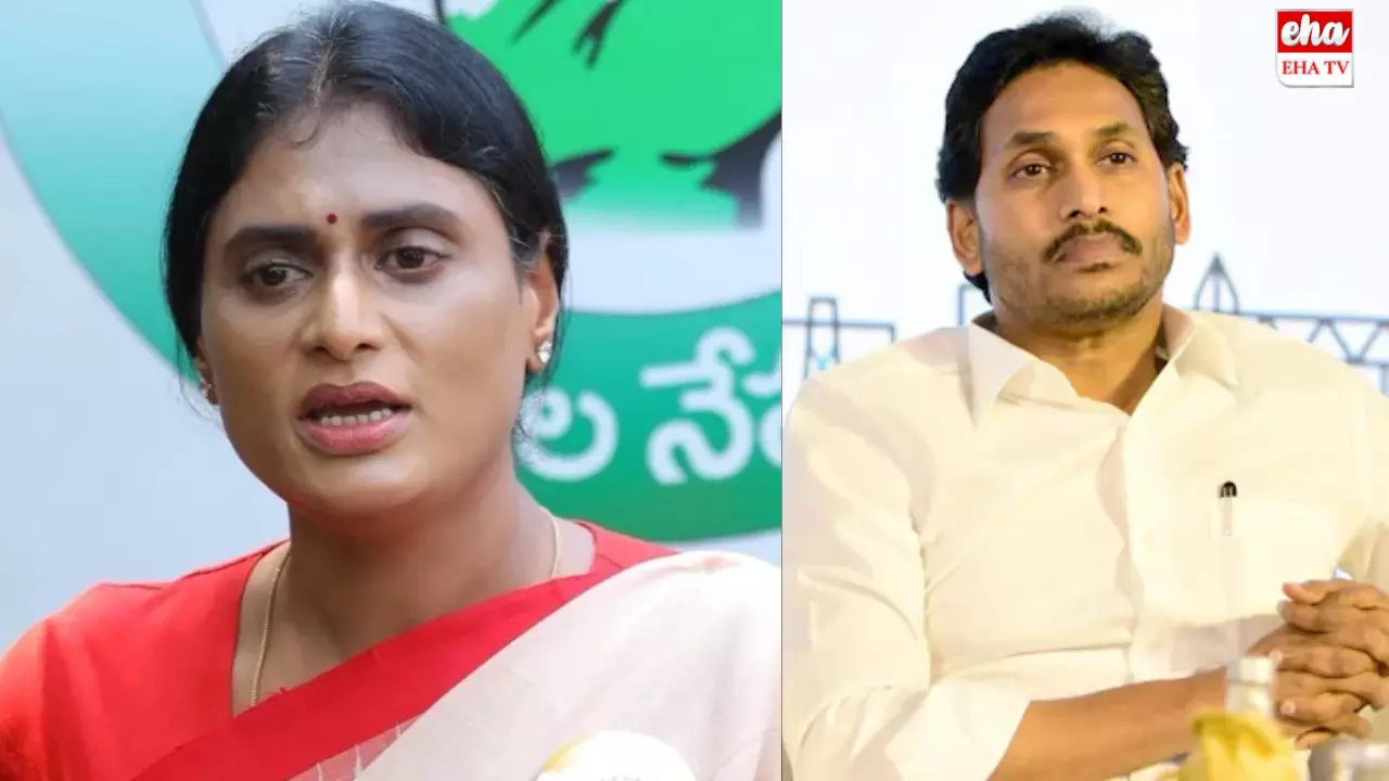 YS Sharmila:అన్నను తిట్టనిదే షర్మిలకు పొద్దుగడవదు!