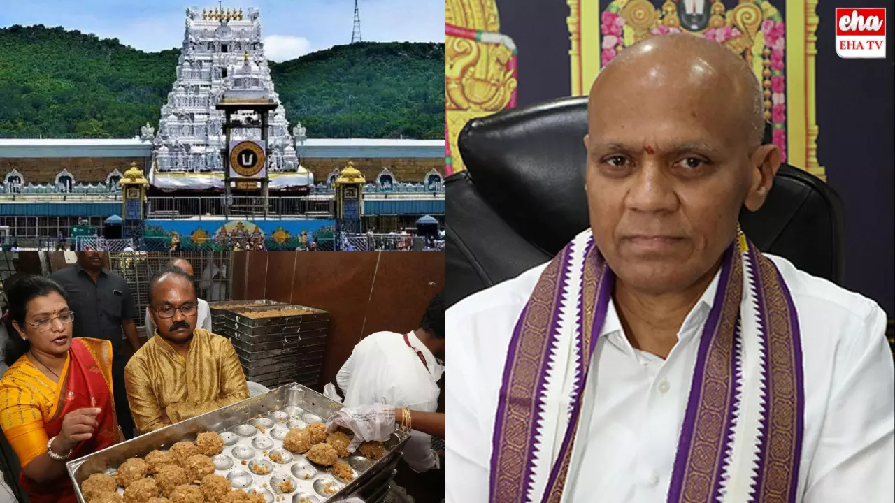 YCP Dharma Reddy : ధర్మారెడ్డి ఎక్కడ...?