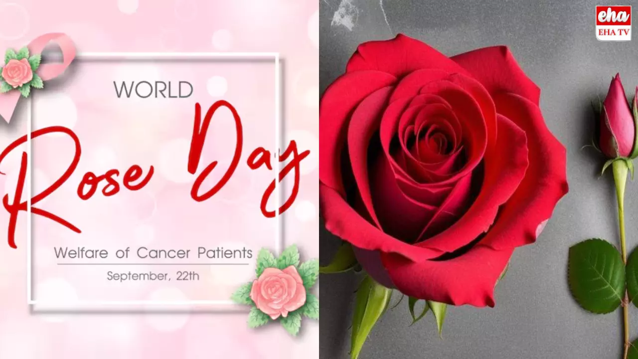 World Rose Day : ఇవాళ ప్రపంచ గులాబీ దినోత్సవం..  ఎందుకు జరుపుకుంటారంటే!