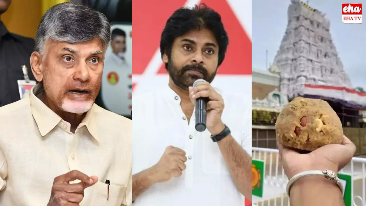 TTD Laddu Facts : తిరుమల లడ్డూ వివాదంలో ఇదీ వాస్తవం! ఇక అసత్య ప్రచారాలు ఆపేయండి!