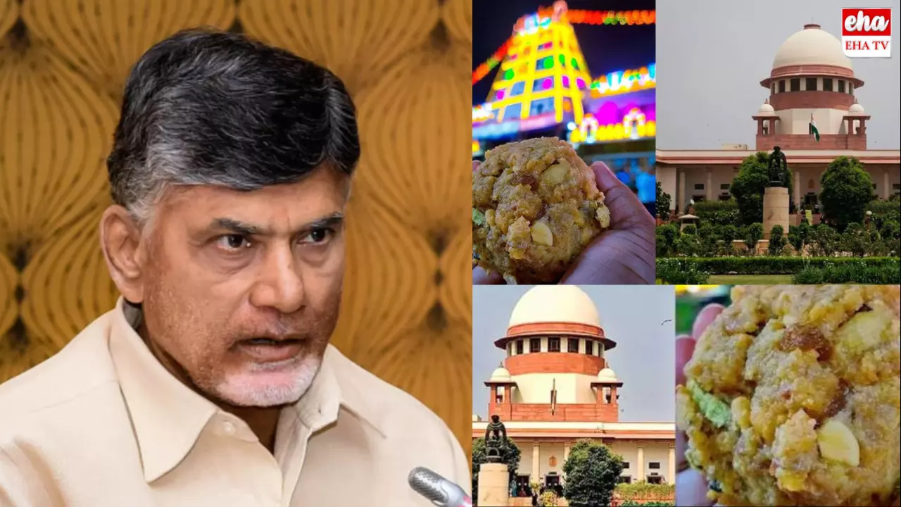 Supreme Court Shock To Cm Chandrababu:చంద్రబాబుకు సుప్రీంకోర్టు షాక్‌