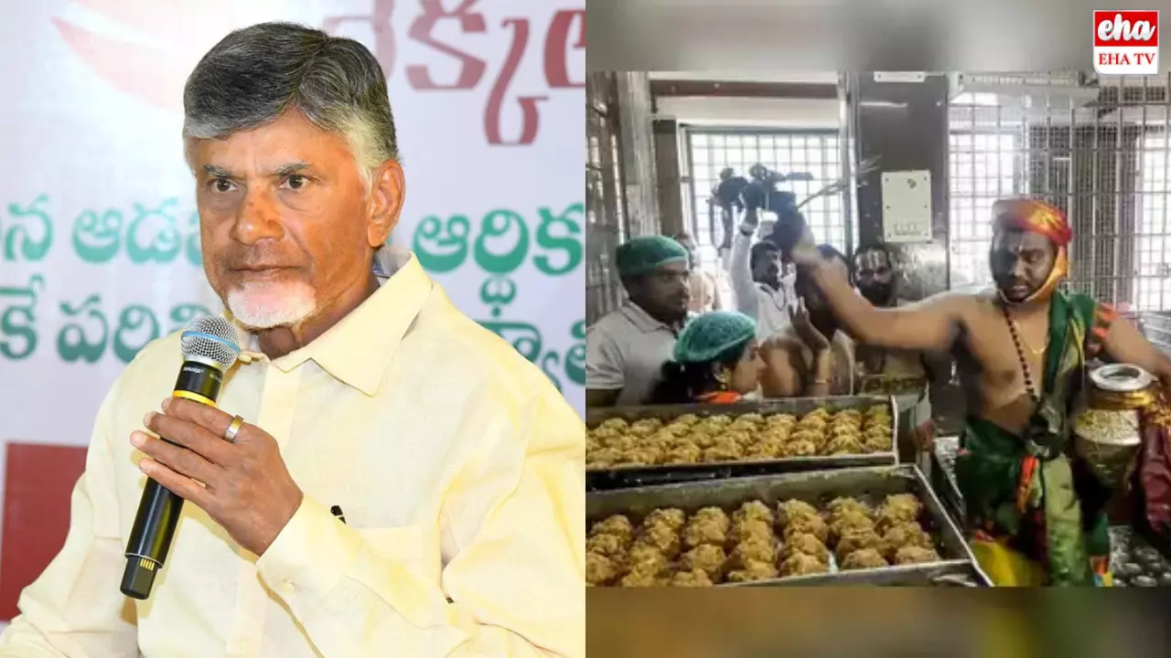 Chandrababu Should Apologize : హిందువులకు చంద్రబాబు క్షమాపణలు చెప్పాలి