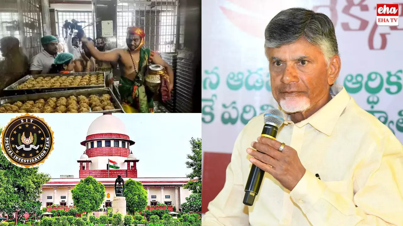 SIT Investigation : తిరుమల లడ్డూపై దర్యాప్తు నిలిపివేసిన సిట్‌!