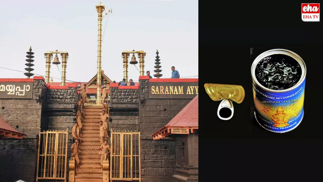 Sabarimala Ayyappa Prasadam:శబరిమల ప్రసాదంలో క్రిమిసంహారకాలు!