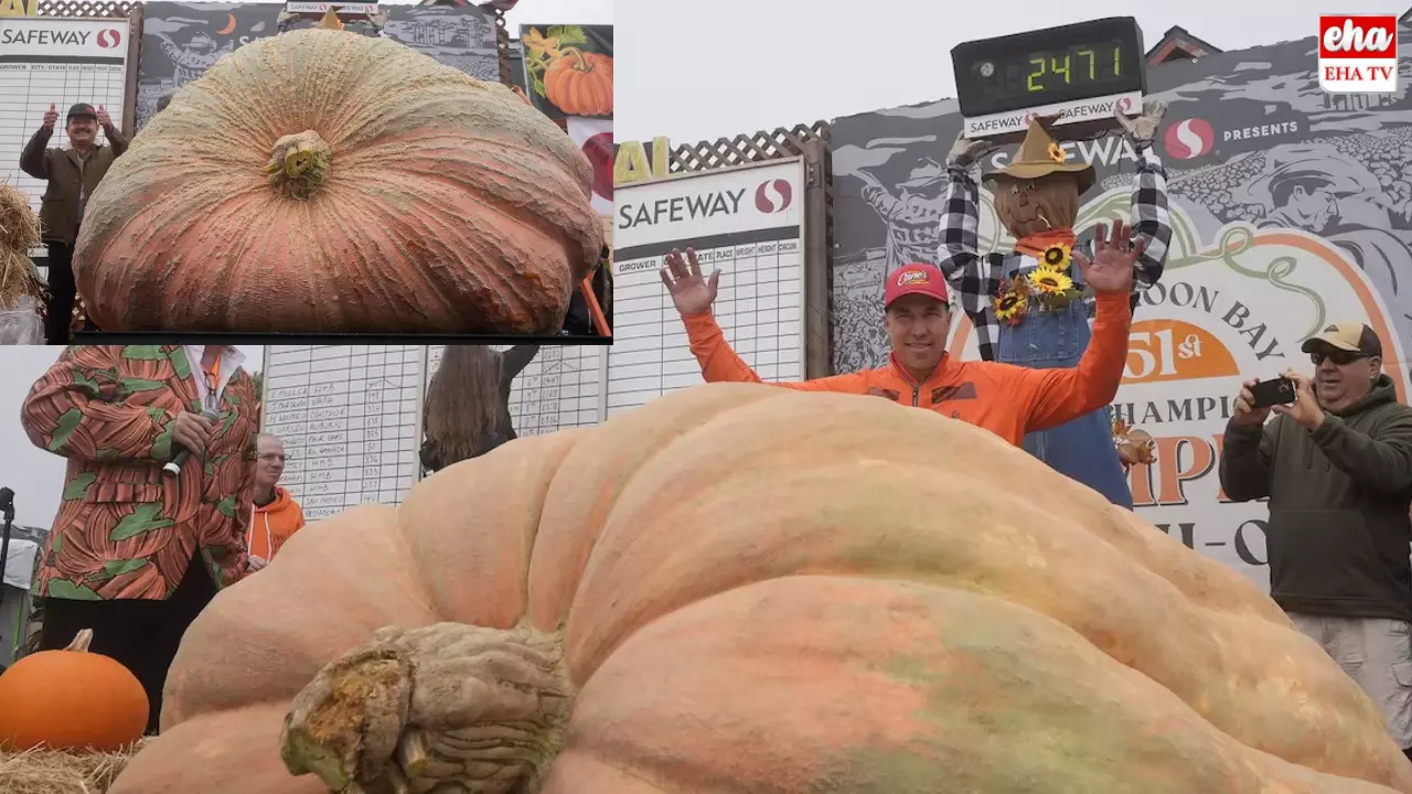 World champion Pumpkin : ఆ గుమ్మడికాయ బరువు అక్షరాల 1,121 కిలోలు!