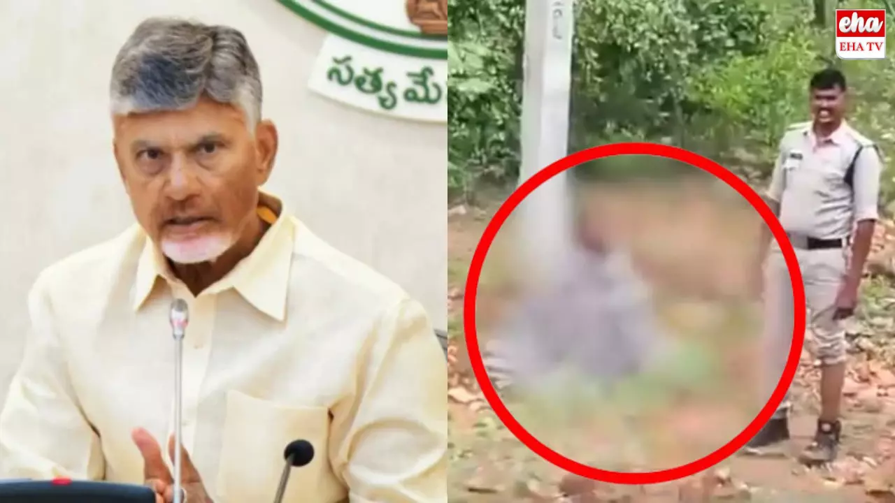 Chandrababu : బద్వేల్‌ ఘటనపై సీఎం చంద్రబాబు విచారం.. ఫాస్ట్‌ ట్రాక్‌ కోర్టులో కేసు విచారణ