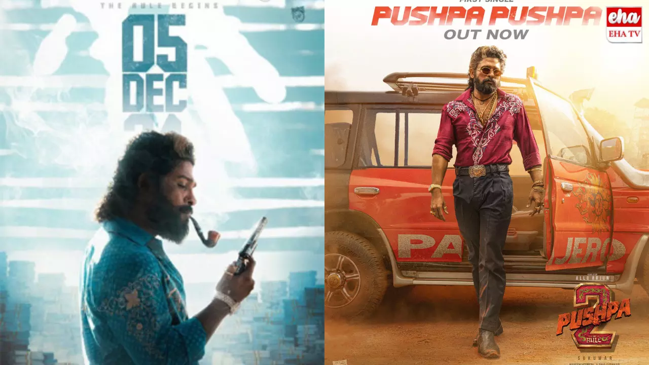 Pushpa 2 collections : మైండ్‌ బ్లోయింగ్‌....నాన్‌ థియేట్రికల్‌ బిజినెసే 420 కోట్ల రూపాయలు!