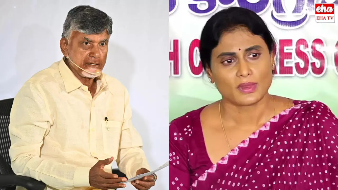 TDP Support To YS Sharmila:షర్మిలకు సపోర్ట్‌గా తెలుగుదేశంపార్టీ!