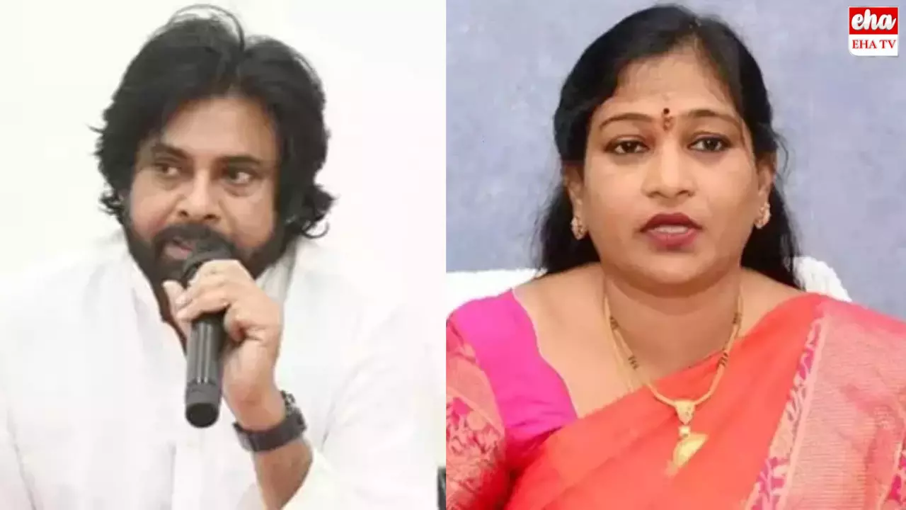 Pawan Kalyans Controversial Statement:నేను హోంమంత్రినయితే తాట తీస్తా