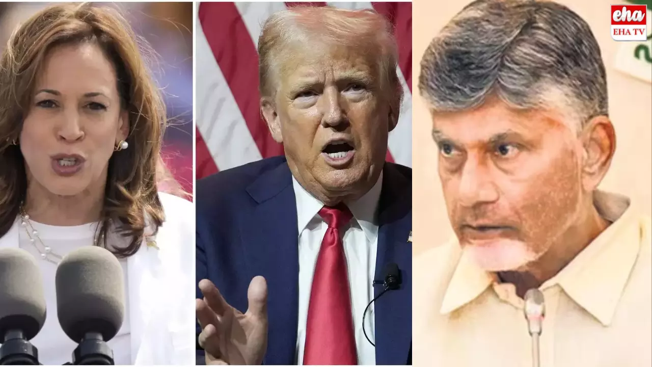 U.S. Election:అమెరికా ఎన్నికలు: బాబుగోరి ఊసు లేదేం?