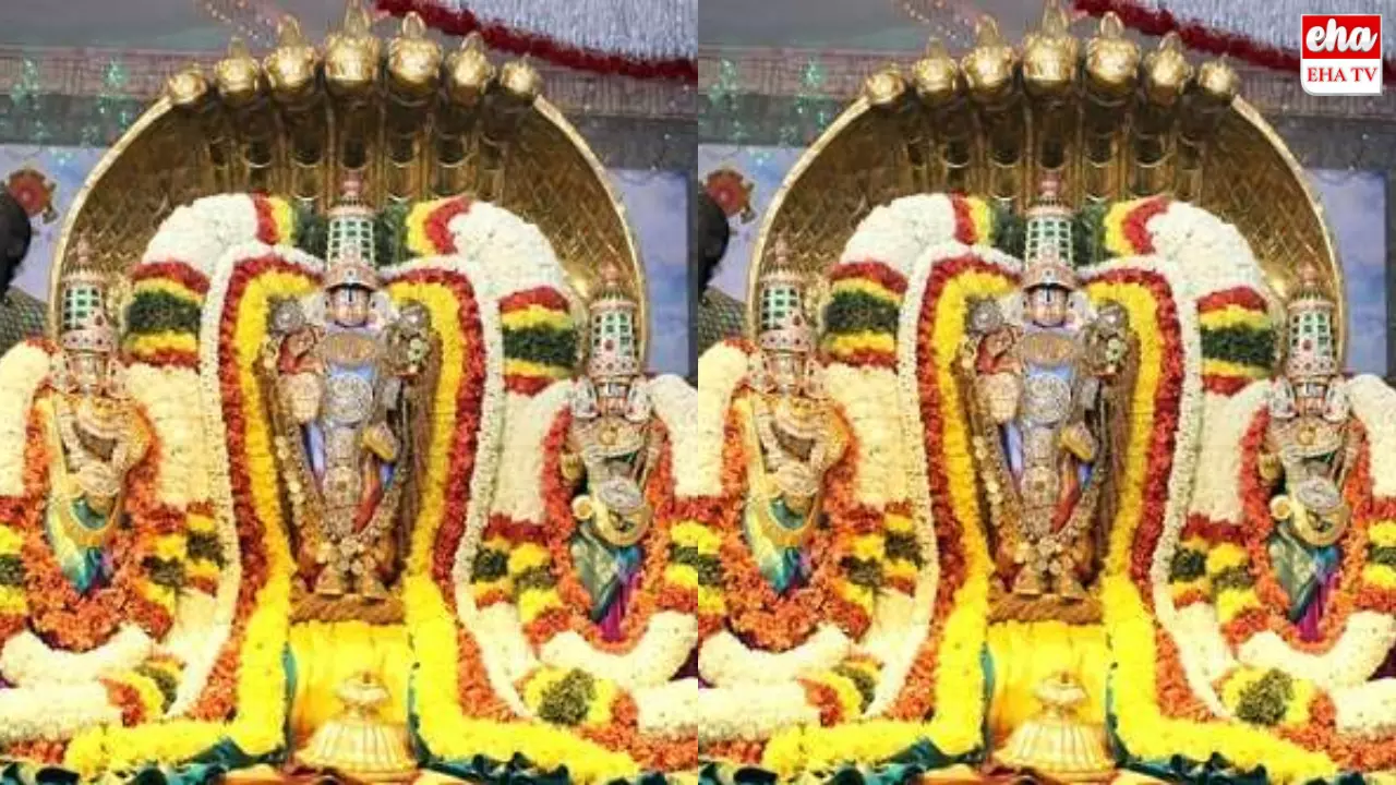 Tirumala nagula chavthi Celebraations : ఈ రోజు పెద్ద శేష వాహనంపై మలయప్ప స్వామి