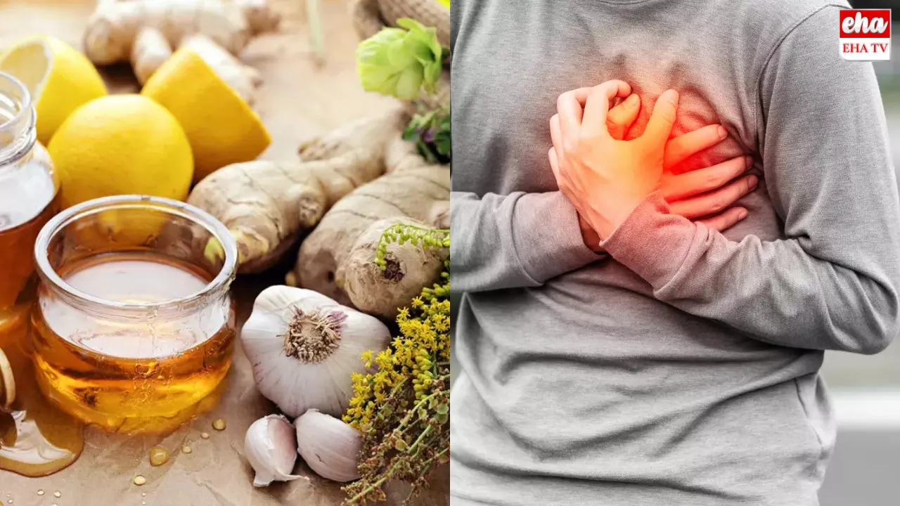 Heart Attack Prevention Tips : ఇలా సర్వీసింగ్ చేస్తే పదికాలాల పాటు పదిలంగా గుండె (హార్ట్)