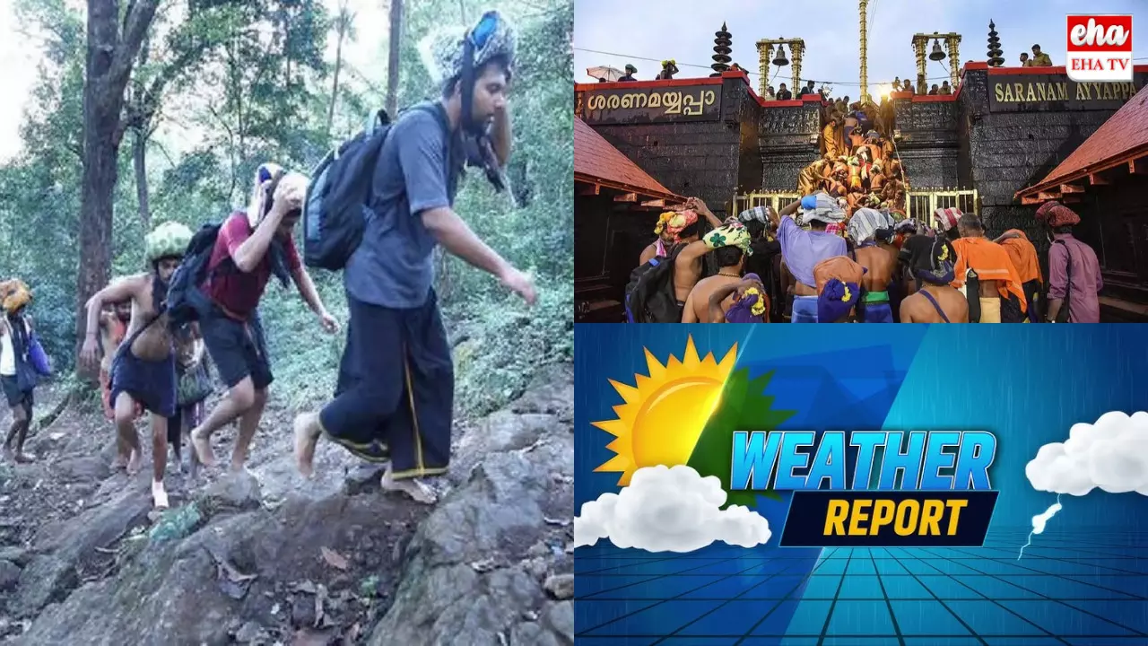 Sabarimala Weather Forecast : శబరిమల యాత్రికులకు వాతావరణ సూచన!