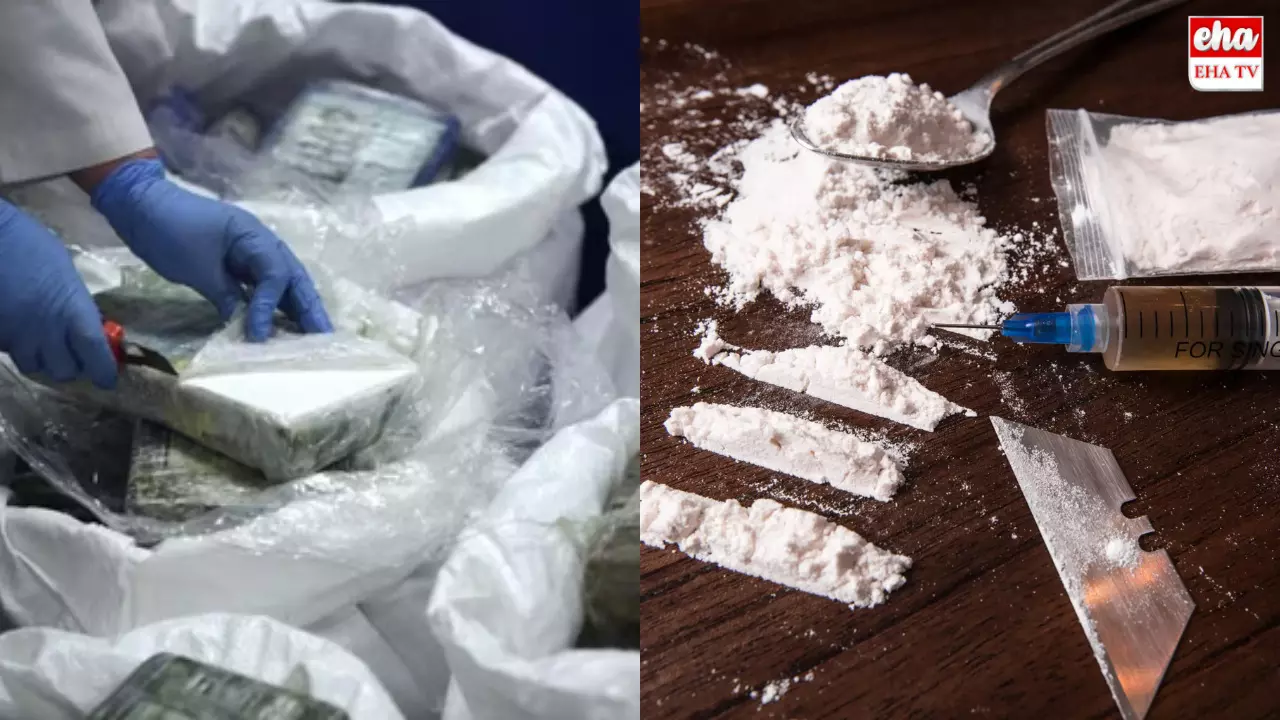 Delhi Cocaine Seize : ఢిల్లీలో రూ. 900 కోట్ల విలువైన కొకైన్ పట్టివేత..