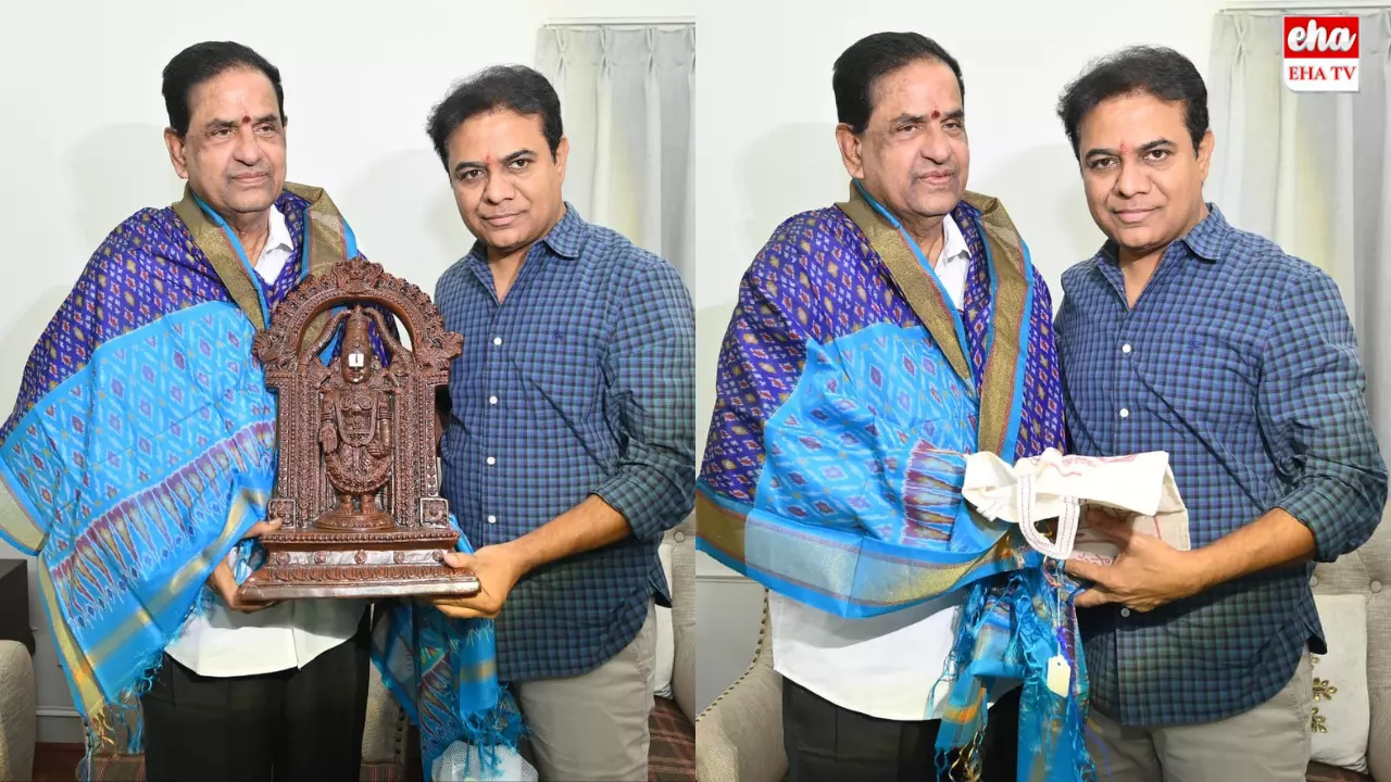 TTD Chairman BR Naidu Meets KTR:కేటీఆర్‌ను కలిసిన టీటీడీ చైర్మన్‌