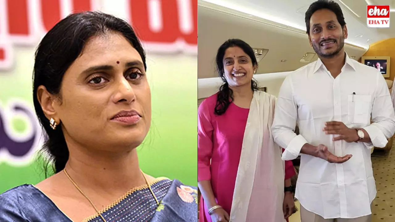 YS Sharmila : జగన్‌, భారతిలను అరెస్ట్ చేయాలట! ..కసితో రగిలిపోతున్న షర్మిల