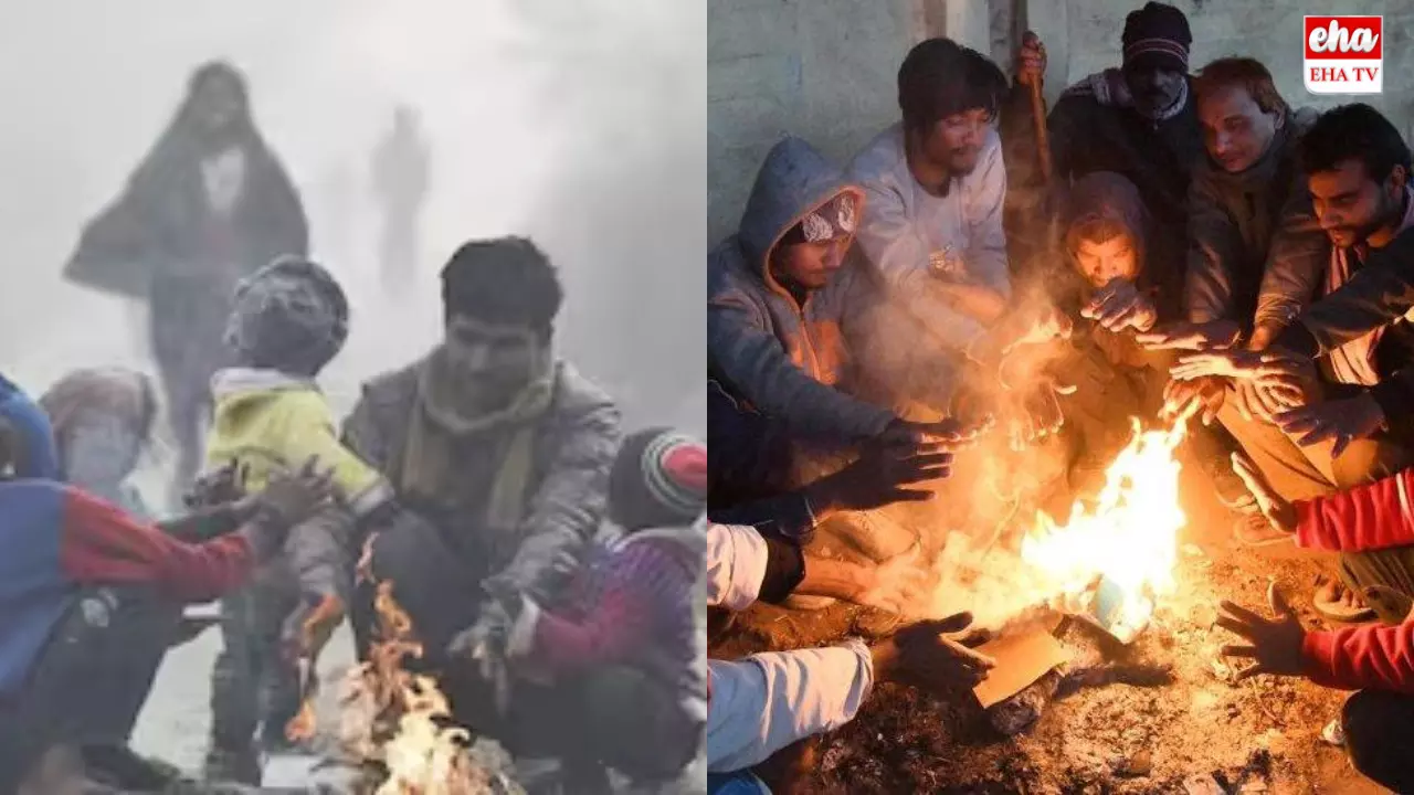 Telangana Cold Wave : చలికి వణుకుతున్న తెలంగాణ!