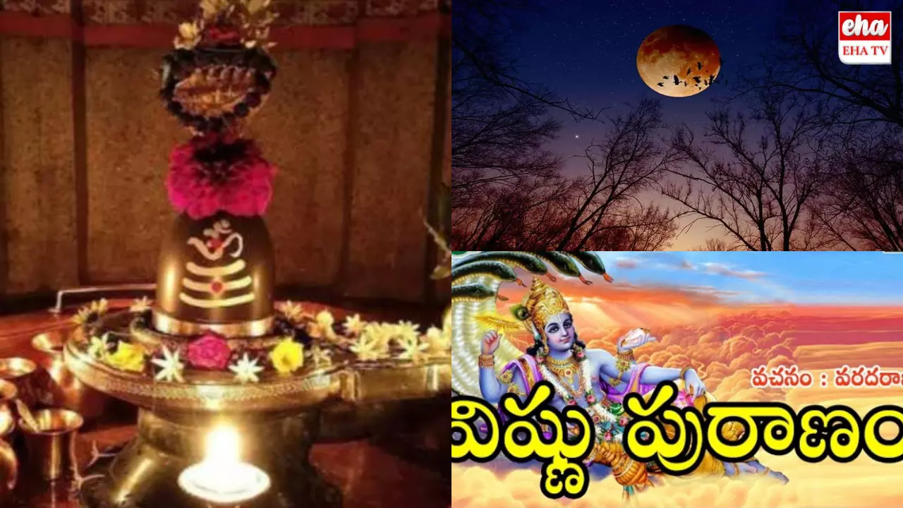 Karthika Amavasya : శ్రీవిష్ణుపురాణంలో ఈ విధంగా వ్యాసుడు చెప్పాడు.