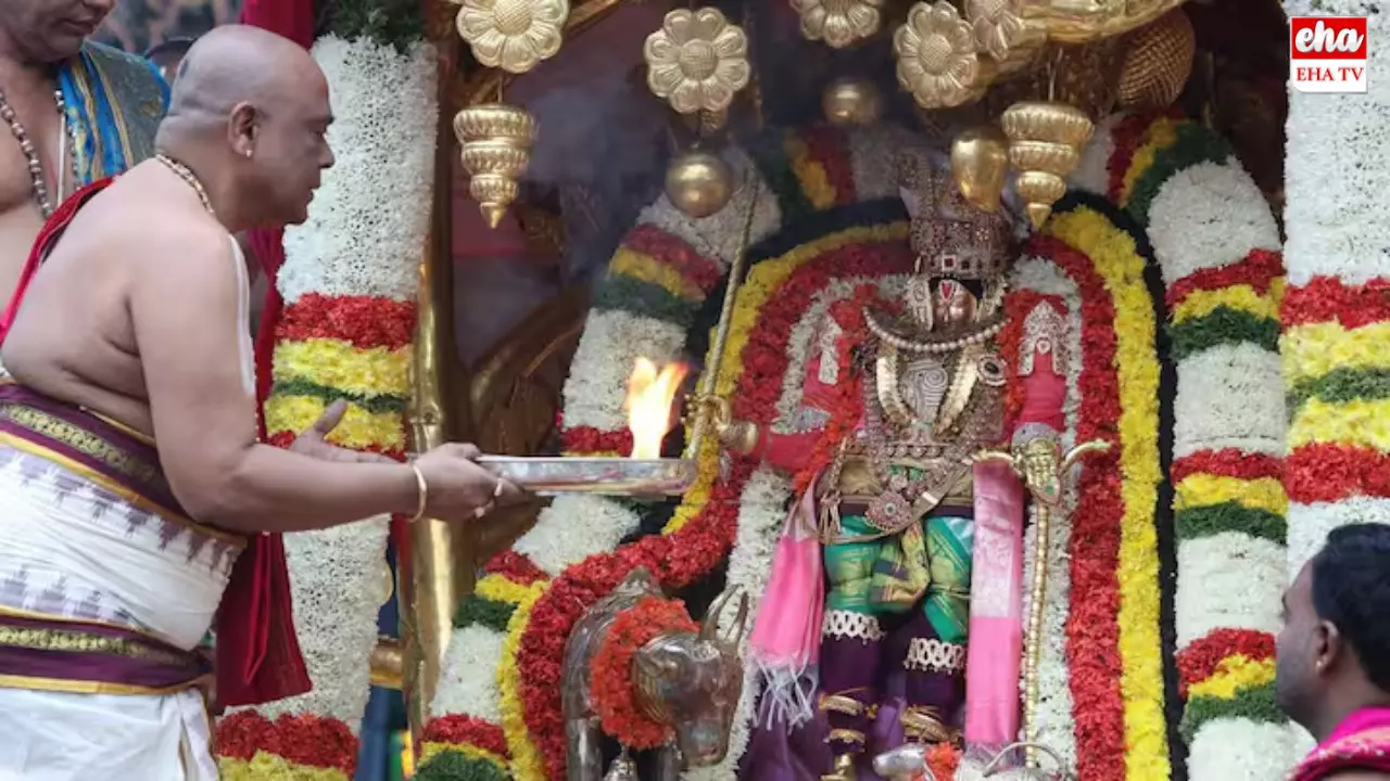 Tiruchanoor:కాళీయమర్ధనుడి అలంకారంలో సిరుల‌త‌ల్లి