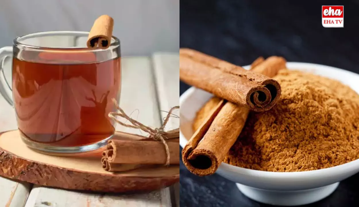 Cinnamon Water Benefits:  ఉదయాన్నే దాల్చిన చెక్క నీటిని తాగితే  ఎన్ని ప్రయోజనాలో తెలుసా..!