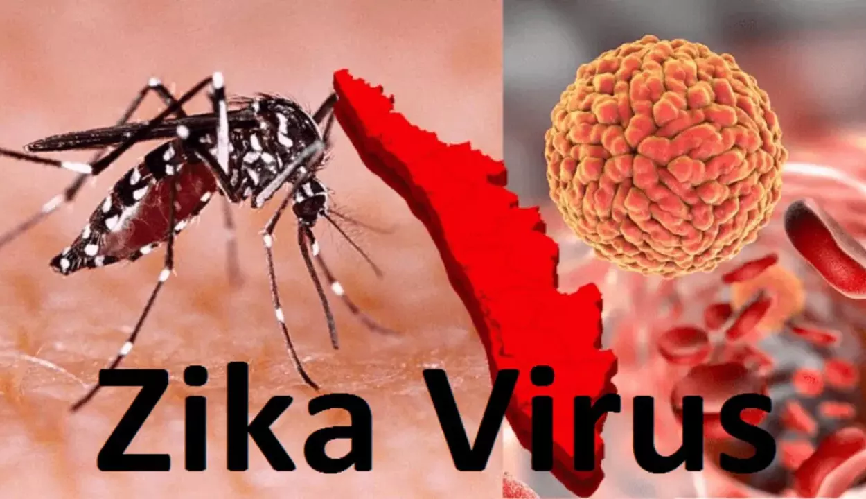 Zika Virus In Ap:  ఏపీలో జికా వైరస్ కలకలం