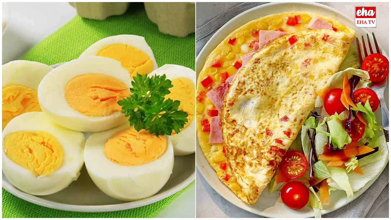 Boiled Egg or Omelette? :  ఉడికిన గుడ్డు - ఆమ్లెట్..?  ఏది మంచిది? పిల్లలకు ఏది పెట్టాలి.