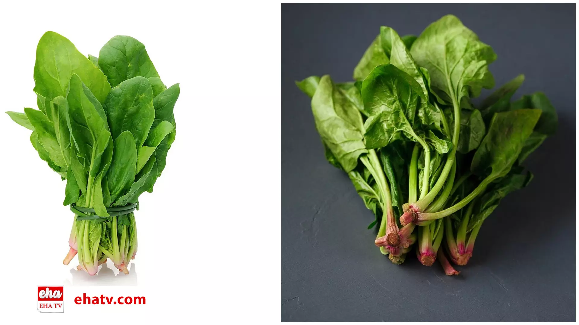 Effects of Eating Spinach in Winter :   చలికాలం పాలకూర తింటే ఏమౌతుందో తెలుసా..?