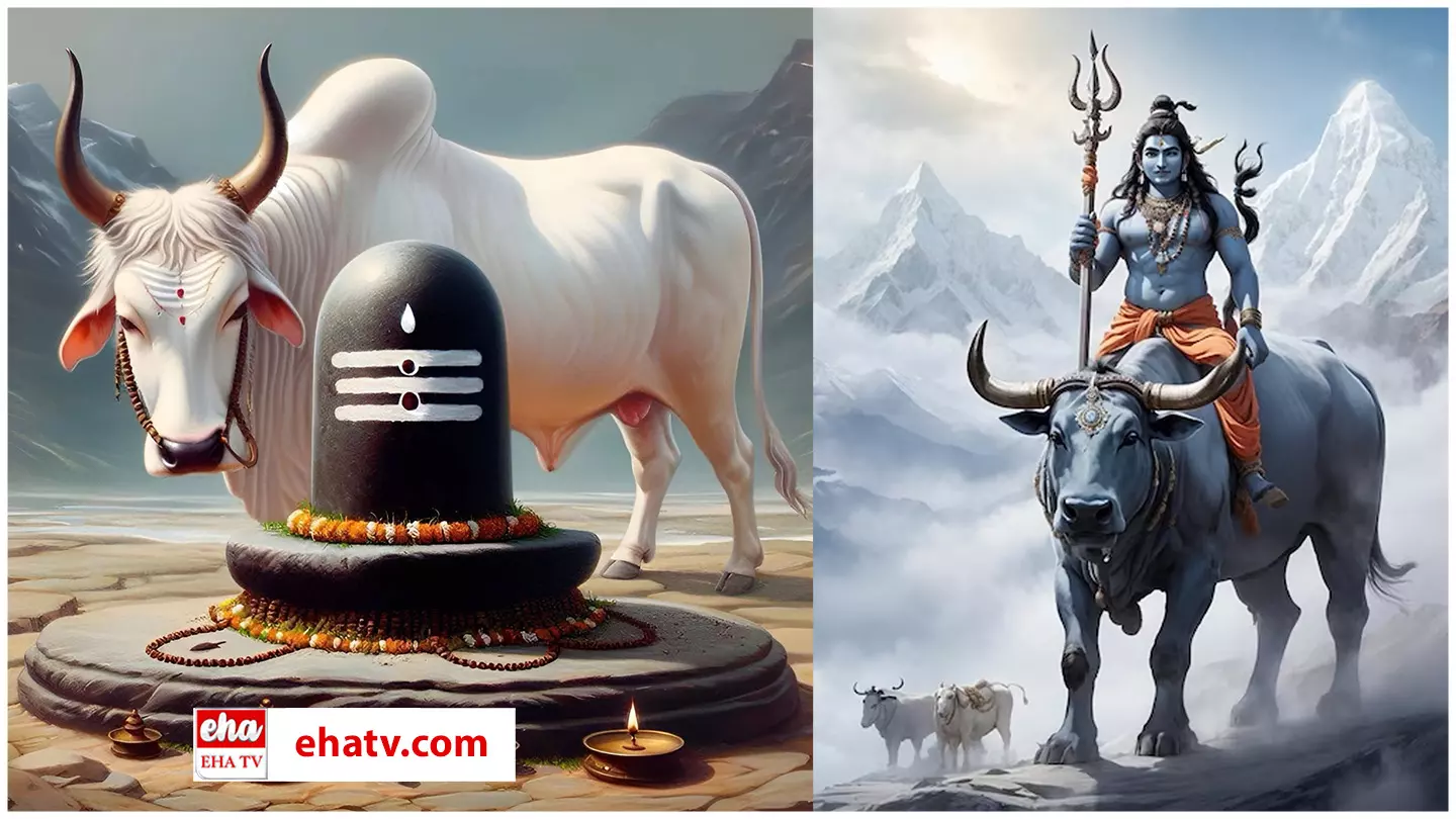 The Significance of Nandi:    నందికి ఎందుకంత ప్రత్యేకత