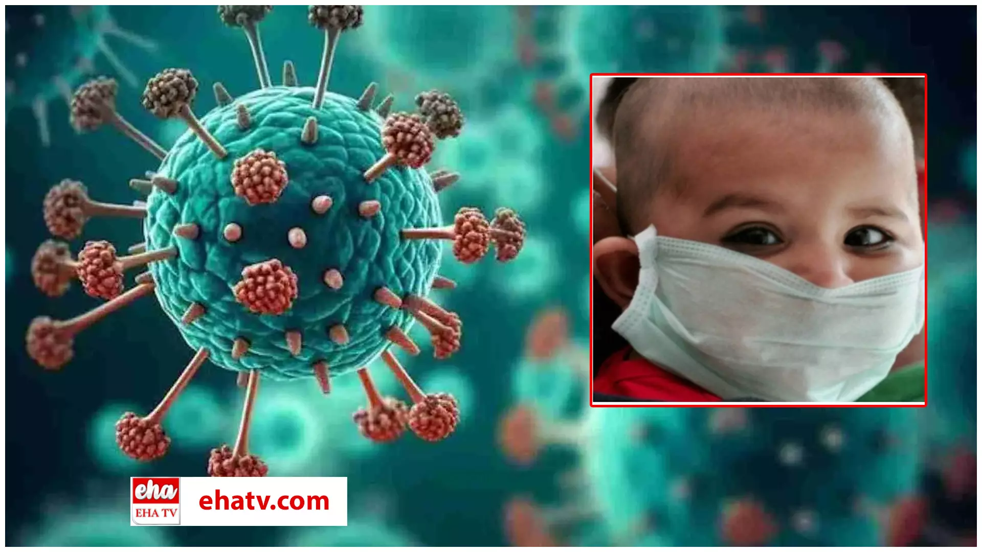 Indias First HMPV  Virus Case :  భారత్‌లో తొలి HMPV కేసు నమోదు