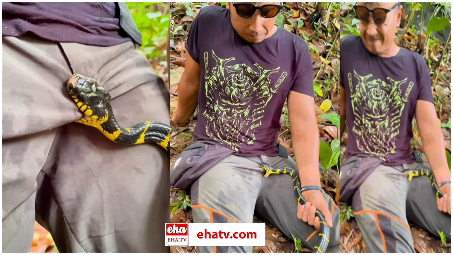 Snake Bite Influencer on Private Part  :   పాముతో ఆట ఆడాడు.. అంగంపై కాటు వేసింది..!