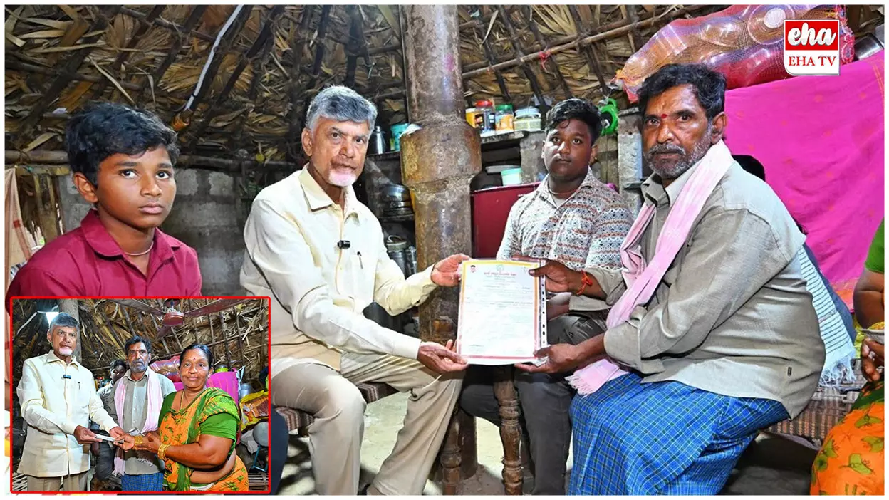 Big Shock To AP Pensioners :  ఏపీలో 18,036 మంది పింఛన్లను తొలగించిన సర్కార్