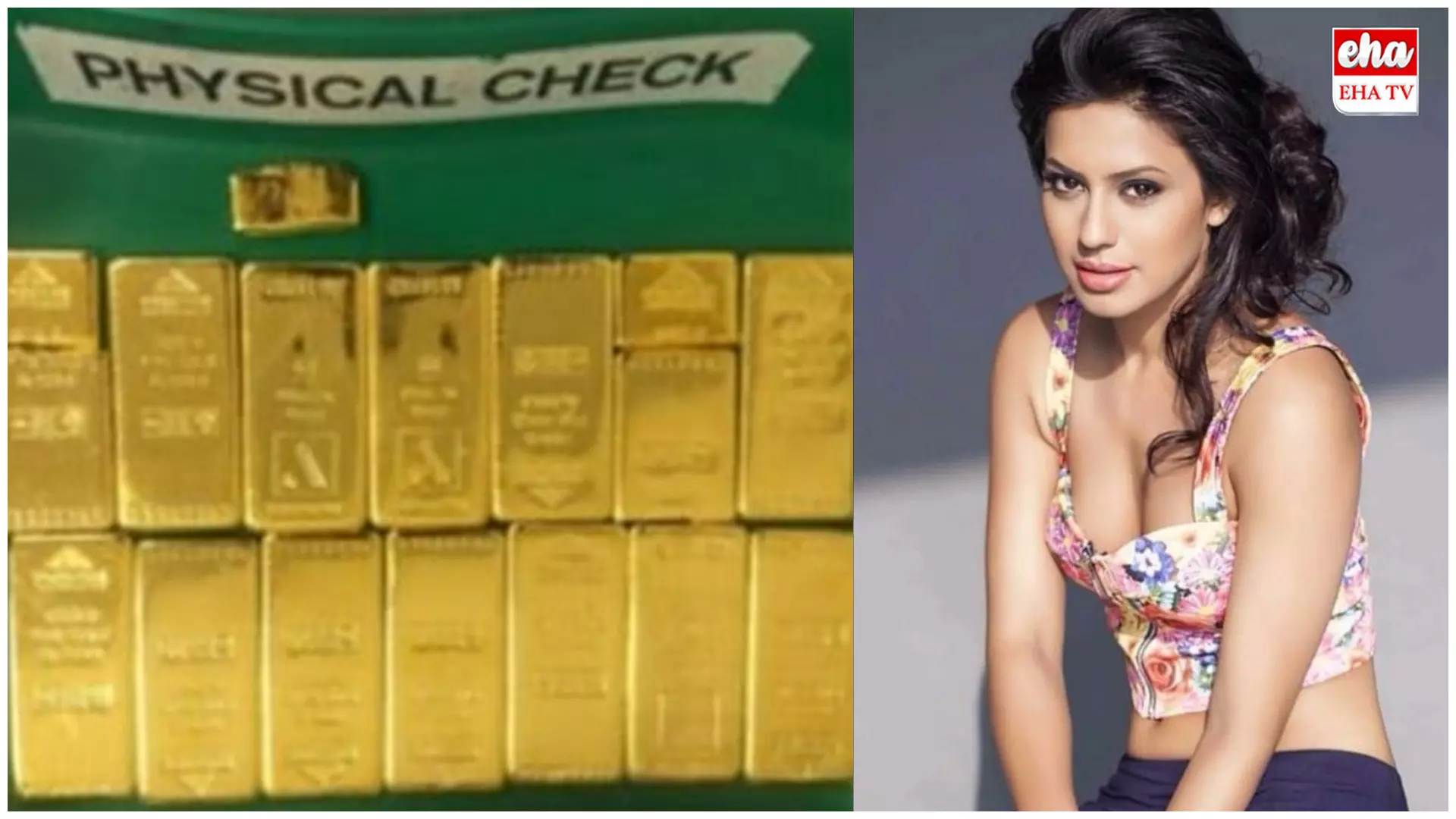 Ranya Rao Gold Smuggling : కన్నడ నటి బంగారం స్మగ్లింగ్ కేసులో వెలుగులోకి కీలక వివరాలు